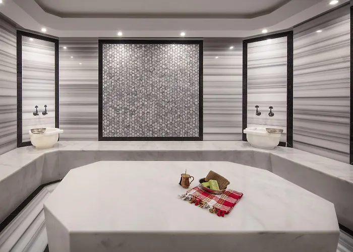 The Westist & - Special Category Istanbul